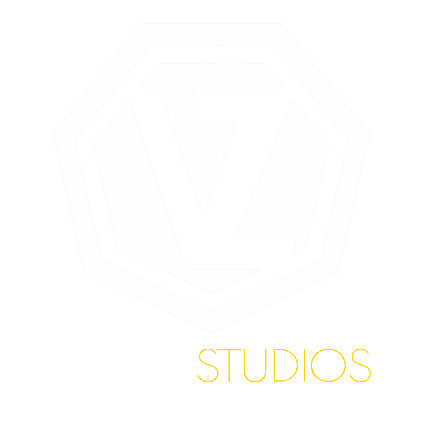 VZion Studios — Bringing Your Vision to Life